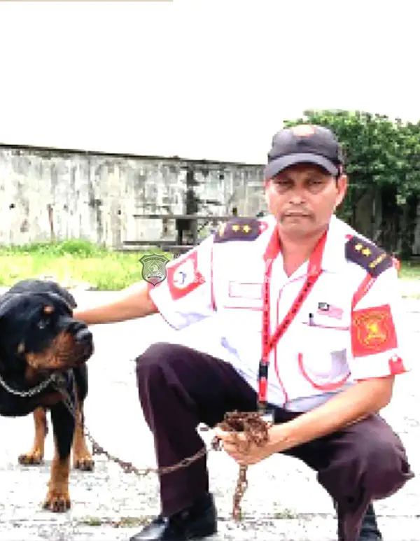 K9 UNITS