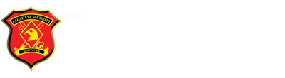 Eagle Eye Security White logo