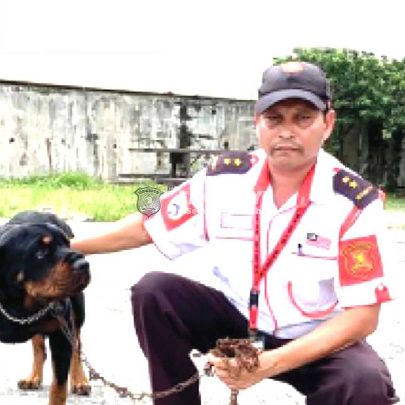 Guard Dog with Handlers